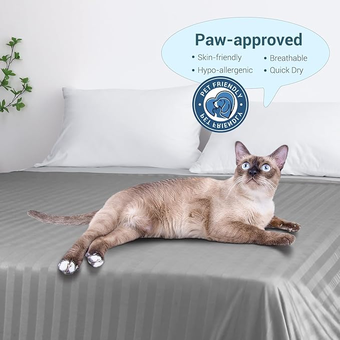 Elegear Revolutionary Cooling Throw Blanket, Absorbs Heat to Keep Body Cool for Night Sweats, Double Sided Arc-Chill3.0 Cooling Fiber Q-Max>0.5, Lightweight Summer Cold Blankets for Sleeping 51“ x 67”