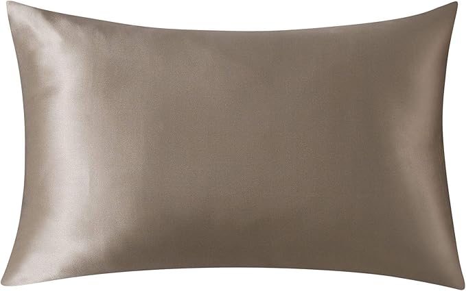 SLPBABY 100% Natural Pure Silk Pillowcase for Hair and Skin, Both Side 19 Momme Silk, Luxury Smooth Satin Pillowcase Cover with Hidden Zipper (Standard(20''x26''), Taupe)