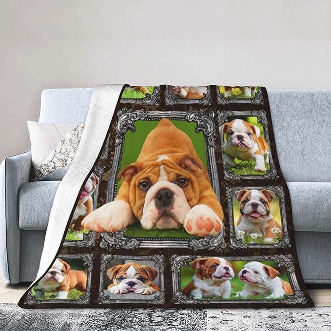 Bulldog Blanket English Bulldog Gifts Throw Blanket Super Soft Flannel Lightweight Fluffy Plush Cozy Fuzzy Fleece Decor Blanket for Dog Lover Girl Woman Boys Kids Adults Man for Bed Sofa 60"X80"