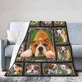 Bulldog Blanket English Bulldog Gifts Throw Blanket Super Soft Flannel Lightweight Fluffy Plush Cozy Fuzzy Fleece Decor Blanket for Dog Lover Girl Woman Boys Kids Adults Man for Bed Sofa 50"X60"