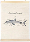Ecezatik Anatomy of a Shark Poster Hanger Frame, Shark Wall Art, Shark Hanging Wall Decor for Classroom Nursery Boys Room, Beach Room Decor, Coastal Home Decor, Shark Gifts for Shark Lovers