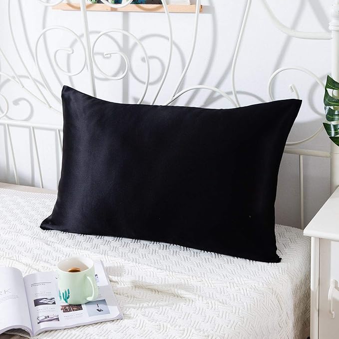 SLPBABY 100% Natural Pure Silk Pillowcase for Hair and Skin, Both Side 19 Momme Silk, Luxury Smooth Satin Pillowcase Cover with Hidden Zipper (Standard(20''x26''), Black)