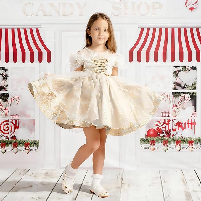 Kate White Wood Floor Mat Photography Floor Mat Newborn Photography Props Rubber Wooden Wall Flooring Backdrop for Professional Photographer 8x5ft