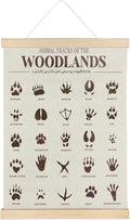 SereneHanctuary Forest Animal Tracks Nursery Decor,Forest Animal Kids Room Wall Art,Animal Tracks Playroom Poster Hanger Frame for Bedroom Nursery Kids Toddler Room Decor,12X16Inches