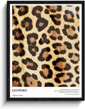 Leopard Print Wall Art, close-up fur pattern, animal print wall decor, matte finish framed canvas print, animal poster artwork, for bedroom fashion lovers gift, 12x15 inch