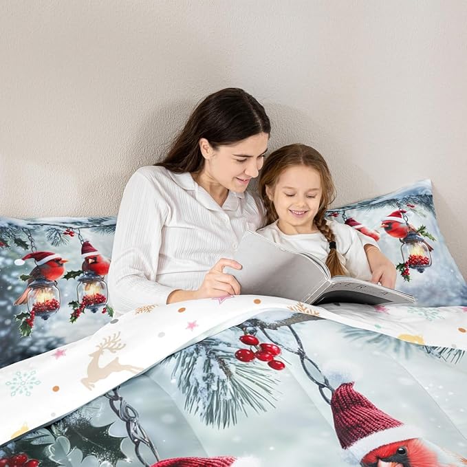 Feelyou Merry Christmas Comforter Set All Season Robin Bird Bedding Set with 1 Pillow Cases Snowflake Microfiber Kids Twin Bedclothes Winter Bedroom Decor Duvet Quilt Breathable Soft Lightweight