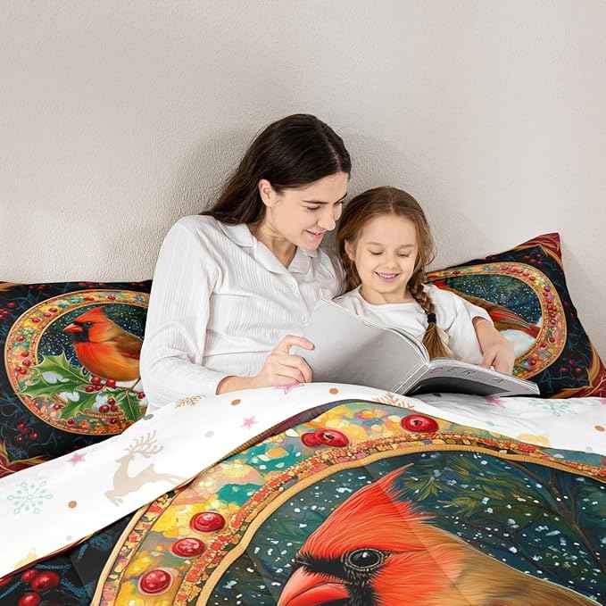 Feelyou Merry Christmas Comforter Set Full Size Robin Bird Bedding Set for Kids Boys Girls Snowflake Duvet Quilt Winter Bedroom Decor Microfiber 3 Pcs with 2 Pillow Cases