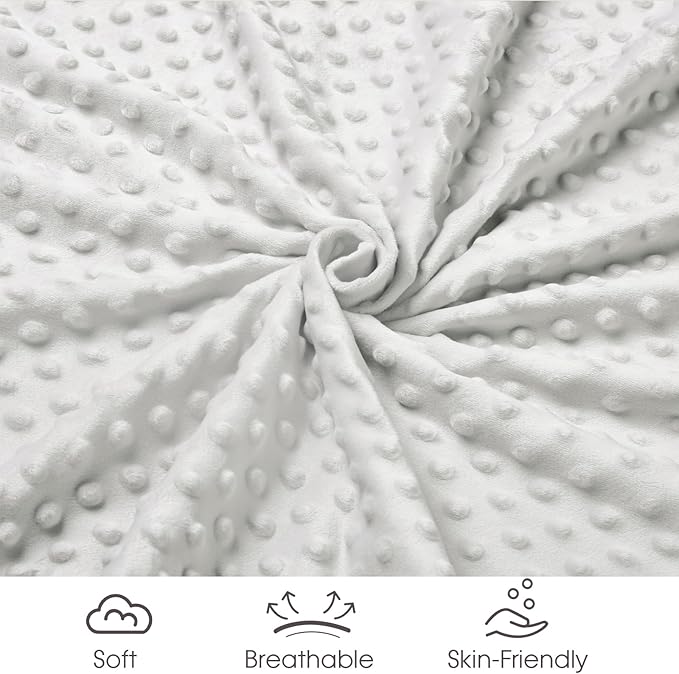 david's kids Micro Fleece Minky Baby Blanket for Boys Girls with Double Layer and Soothing Raised Dots, Breathable and Soft Lightweight Receiving Blanket for Newborns, 50x60 Inches, Rainbow