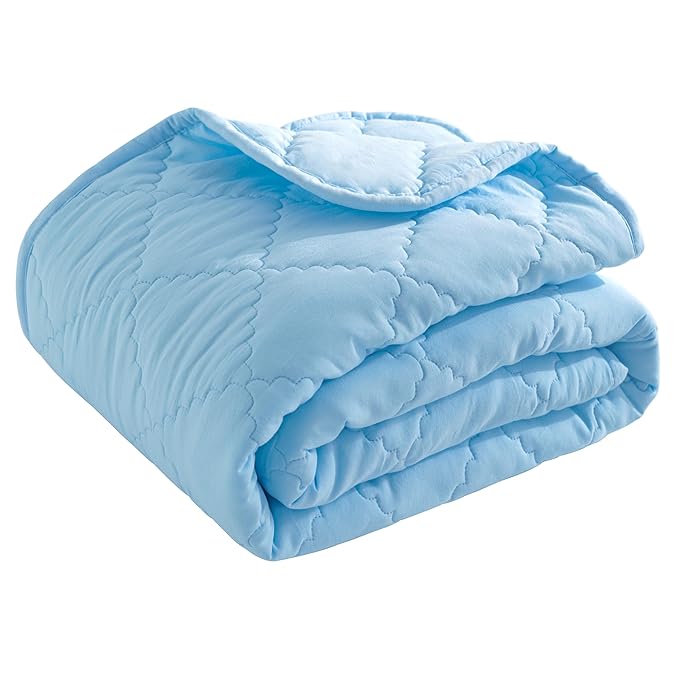 BEDSUM 100% Brushed Microfiber Down Alternative Toddler Comforter, Ultra Soft Lightweight and Warm Breathable Crib Quilted Blanket for Nursery Stroller Bed, 43x60 Inches, Aqua