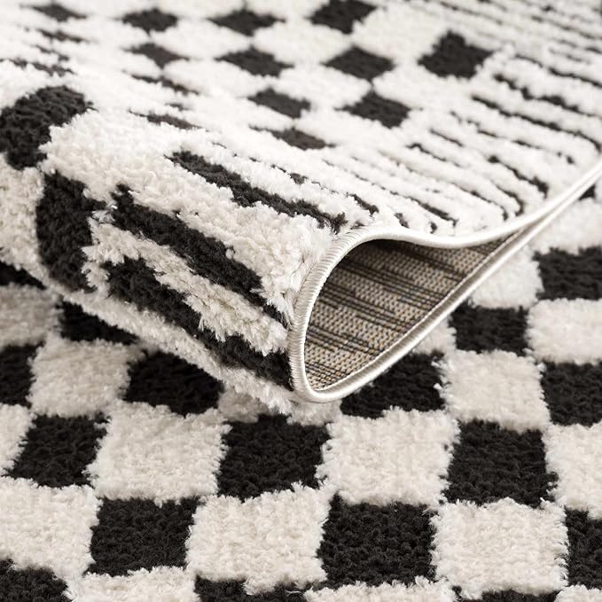 Hauteloom Leryn Contemporary Checkered Area Rug - Modern Geometric Bordered Carpet for Living Room, Bedroom - Checkboard Design - Square Tiles - High Pile - Black and White - 5'3" x 7' (5x7)