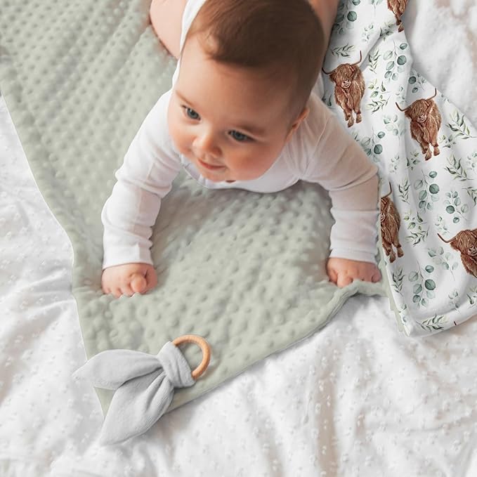 Highland Cow Baby Blankets for Girl Boy 30" x 40", Green Eucalyptus Leaf Soft Double Layer Minky Blanket Dotted Fleece Back, Nursery Bed Receiving Quilt Newborn Infant Toddler Shower Gift