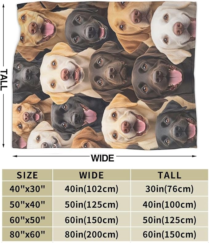 Labrador Retriever Blanket for Girls Boys Chocolate Lab Throw Blankets Soft Cozy Warm Fuzzy Fleece Bedding Flannel Dog Throws Stuffed Animal Gifts for Lovers Kids Men Women Bedroom Decor 50"x40"