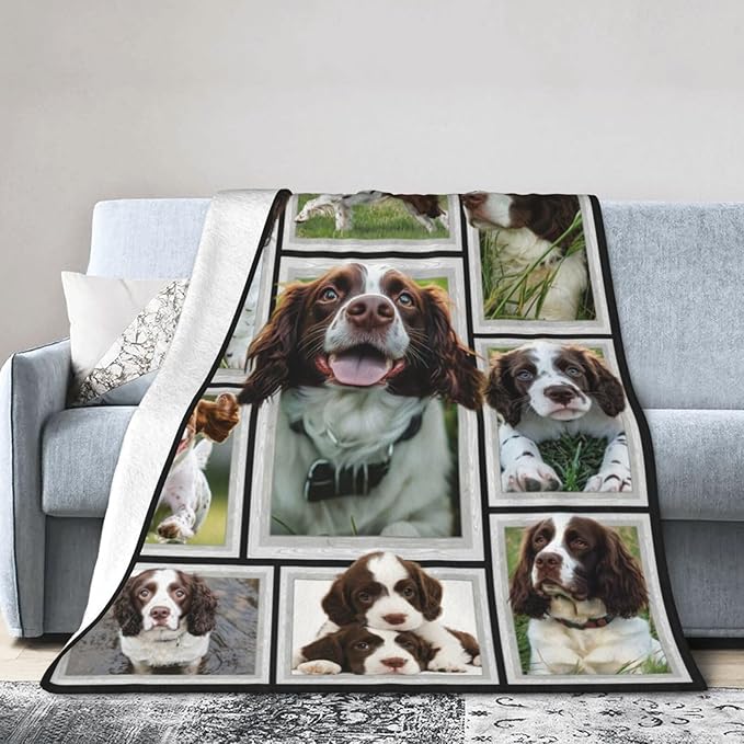 English Springer Spaniel Blanket Springer Spaniel Decor Throw Blanket Soft Flannel Fluffy Plush Fuzzy Fleece Stuff Blanket Gifts for Dog Lover Girl Kids Man Woman Boys Adults for Bed Sofa 50"X60"