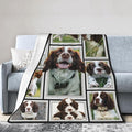 English Springer Spaniel Blanket Springer Spaniel Decor Throw Blanket Soft Flannel Fluffy Plush Fuzzy Fleece Stuff Blanket Gifts for Dog Lover Girl Kids Man Woman Boys Adults for Bed Sofa 60"X80"