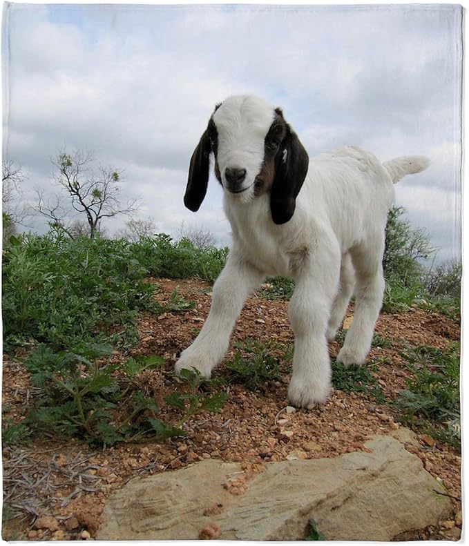 CafePress Kid Goat On Hill Throw Blanket Super Soft Fleece Plush Throw Blanket, 60"x50"