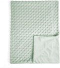 david's kids Micro Fleece Minky Baby Blanket for Girls with Double Layer and Soothing Raised Dots, 40x50 Inches Breathable and Soft Lightweight Receiving Blanket for Newborns, Sage Green