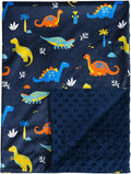 david's kids Micro Fleece Minky Baby Blanket for Boys with Double Layer and Soothing Raised Dots, Breathable and Soft Lightweight Receiving Blanket for Newborns, 50x60 Inches, Dinosaur
