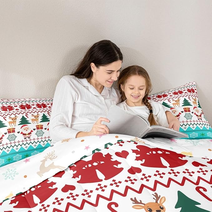 Feelyou Merry Christmas Bedding Set Soft for Boys Girls, Santa Claus Comforter Set Twin Size Cute Deer Duvet Quilt Microfiber Snowflake Bedroom Decor 2 Pcs with 1 Pillow Cases