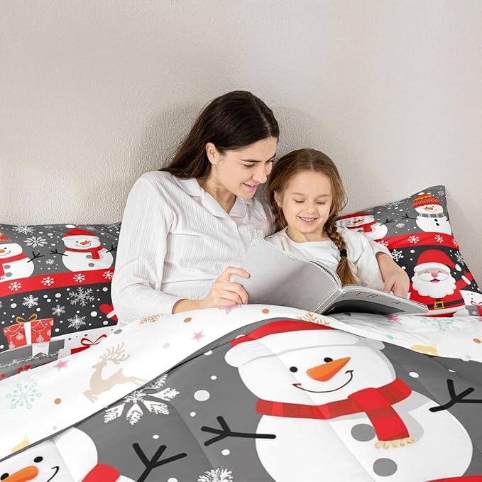 Feelyou Christmas Bedding Set Soft for Boys Girls, Merry Christmas Comforter Set Twin Size New Year Gift Duvet Quilt Microfiber Snowflake Bedroom Decor 2 Pcs with 1 Pillow Cases