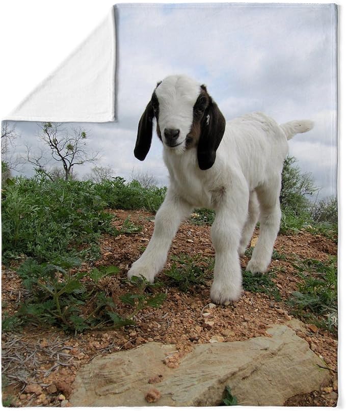 CafePress Kid Goat On Hill Throw Blanket Super Soft Fleece Plush Throw Blanket, 60"x50"