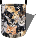 Cute Cat Close-Up Portrait Laundry Basket with Handles, 19.7"x15.7" Clothes Foldable Adorable Kittens Laundry Hamper Organizer for Dorm Nursery Bedroom Bathroom Decor, Toy Storage Bin for Kids