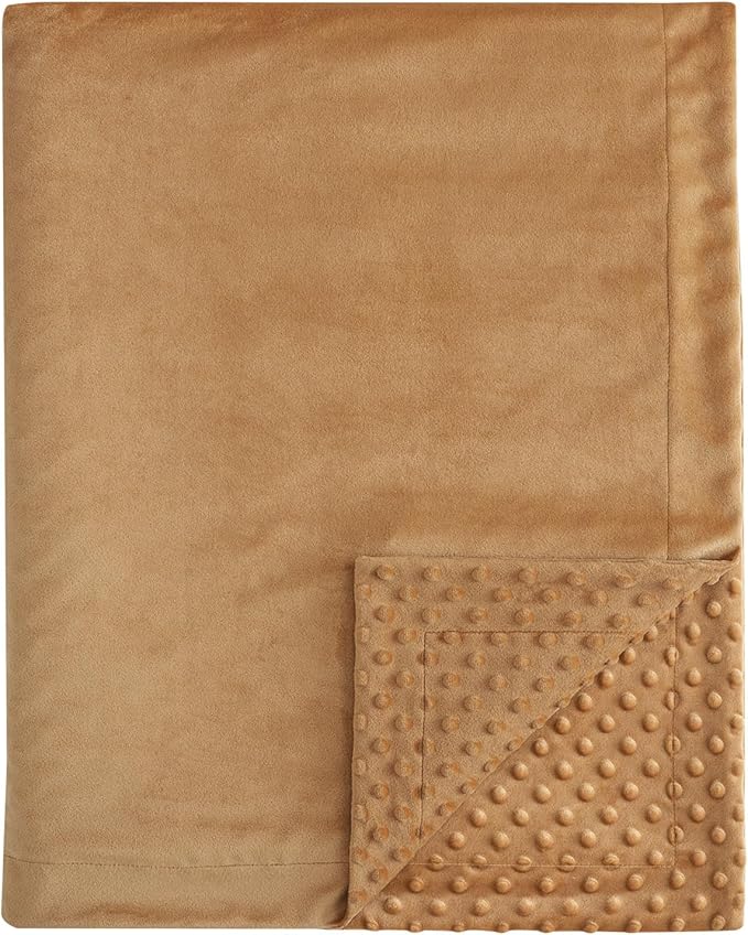 david's kids Micro Fleece Minky Baby Blanket for Boys Girls Neutral with Double Layer and Soothing Raised Dots, Breathable and Soft Lightweight Receiving Blanket for Newborns 30x40 Inches, Biscuit