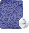 CREVENT 30"X40" Lightweight Fuzzy Fluffy Warm Plush Baby Blanket for Boys Infant Toddler Newborn Crib Cot Stroller - Blue Dinosaur