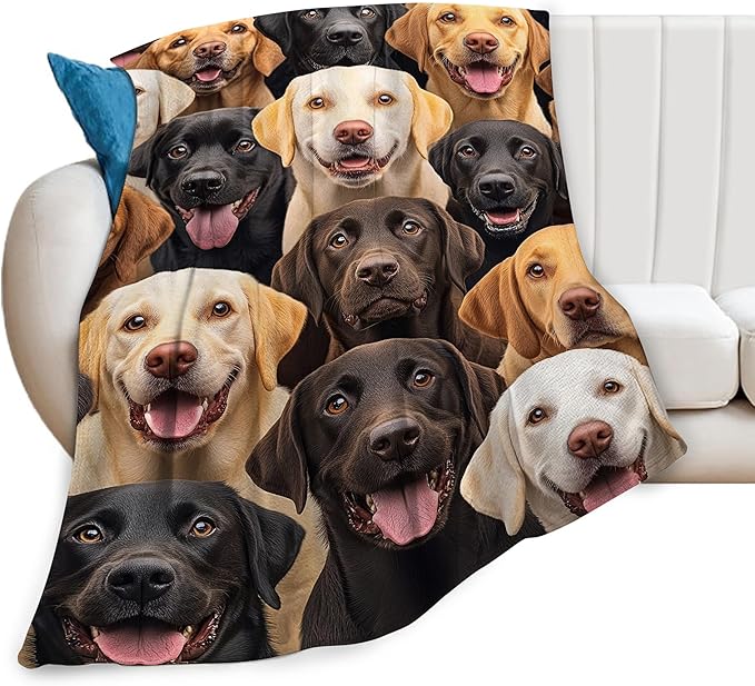 Labrador Retriever Blanket for Girls Boys Chocolate Lab Throw Blankets Soft Cozy Warm Fuzzy Fleece Bedding Flannel Dog Throws Stuffed Animal Gifts for Lovers Kids Men Women Bedroom Decor 50"x40"