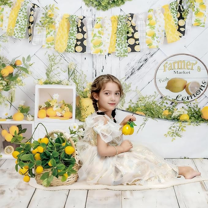 Kate White Wood Floor Mat Photography Floor Mat Newborn Photography Props Rubber Wooden Wall Flooring Backdrop for Professional Photographer 5x4ft