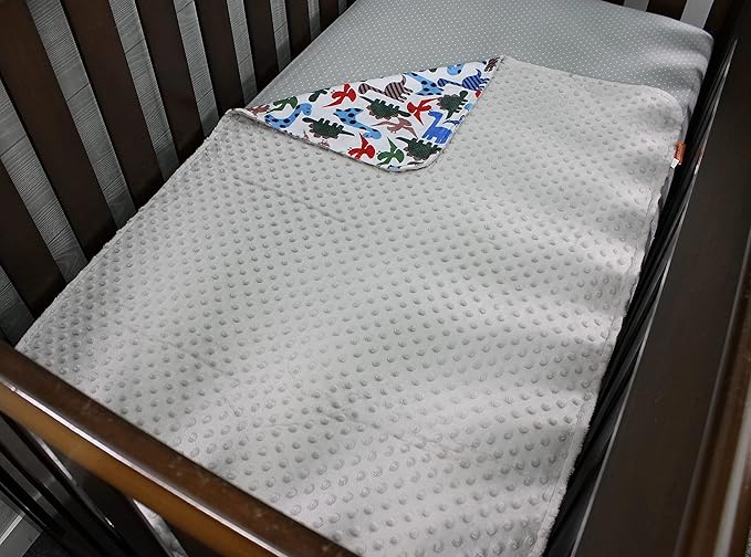 Top Tots Baby Blanket - Dinosaur with Grey Minky Dot, 38.5 x 29 Inch Blue, Green & Red