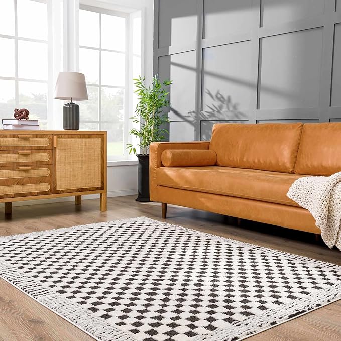 Hauteloom Leryn Contemporary Checkered Area Rug - Modern Geometric Bordered Carpet for Living Room, Bedroom - Checkboard Design - Square Tiles - High Pile - Black and White - 5'3" x 7' (5x7)