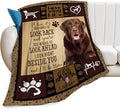 Labrador Blanket for Girls Boys Chocolate Retriever Throw Blankets Soft Cozy Warm Fuzzy Fleece Bedding Flannel Dog Throws Stuffed Animal Gifts for Labrador Lovers Kids Men Women Bedroom Decor 80"x60"