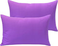 NTBAY Microfiber Toddler Pillowcases with Envelope Closure, 2 Pack 100% Brushed Microfiber Super Soft Travel Kids Nursery Pillow Cases, 14"x20" Fits Pillows Sized 12"x16" 13"x18" 14"x19", Purple