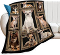 Cute Chihuahua Blanket for Girls Boys Funny Dog Throw Blankets Soft Cozy Warm Fuzzy Fleece Pet Bedding Flannel Throws Stuffed Animal Gifts for Chihuahua Lovers Kids Men Women Bedroom Decor 60"x50"