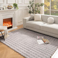 Ashler Faux Rabbit Fur Rug, Light Grey 5x7 FT Fluffy Soft Area Rug, Rectangle Fuzzy Carpet for Living Room, Bedroom, Machine Washable Shaggy Nursery Rug - 3D Bubble Rug