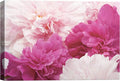 SIGNWIN Canvas Wall Art Bouquet of Blush Pink, Red and White Peony Floral Flower Photography Modern Art Romantics Closeup Relax/Calm Duotone for Living Room, Bedroom, Office - 24x36 inches