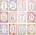 Baby Boy/Girl Monthly Milestone Cards - First Holiday Cards,First Year Month Photo Milestone Cards,Baby Shower Newborn Photo Prop (Cards-2)