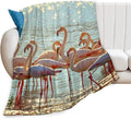 Flamingo Blanket Flamingo Gifts for Girls Boys Woman Kids Lover Ocean Coastal Throw Blankets Soft Blanket Warm Fleece Flannel Plush Blankets for Bed Sofa Couch 60"x80"