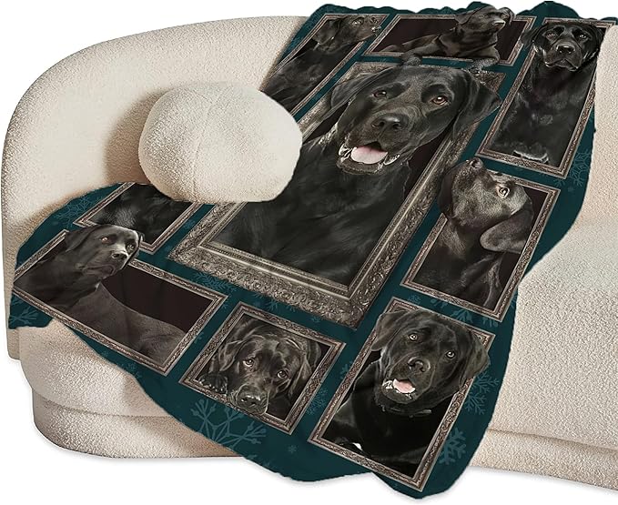 Labrador Retriever Dog Blanket - Cute Throw for Girls, Women, Kids, Adults - Soft Warm Cozy Fleece for Couch, Sofa, Bed - 80"x60" - Gifts and Decor