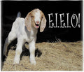CafePress Baby Goat E.I.E.I.O Throw Blanket Super Soft Fleece Plush Throw Blanket, 60"x50"