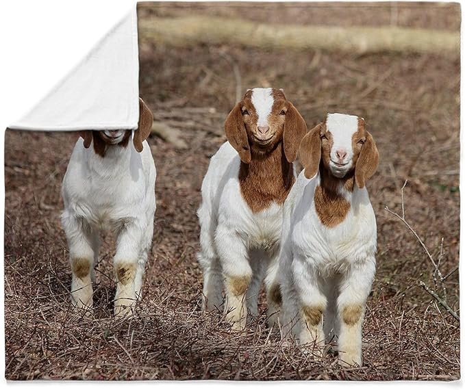 CafePress Smiling Goats Throw Blanket Super Soft Fleece Plush Throw Blanket, 60"x50"