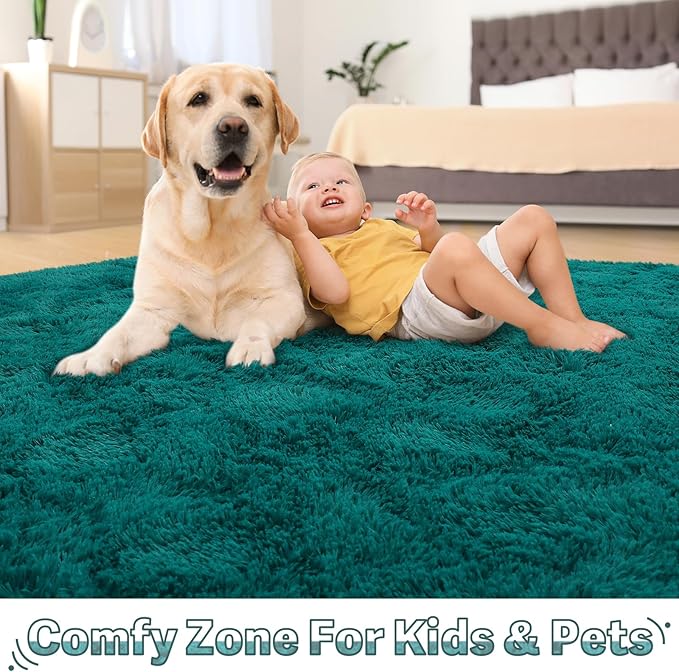 BENRON Fluffy Rugs for Living Room 5x8 Teal Green, Washable Large Area Rugs for Bedroom Dining Table Office Kids Nursery Room, Washable Indoor Floor Carpets