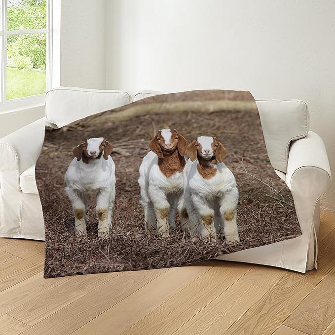 CafePress Smiling Goats Throw Blanket Super Soft Fleece Plush Throw Blanket, 60"x50"
