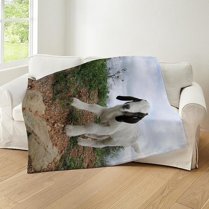 CafePress Kid Goat On Hill Throw Blanket Super Soft Fleece Plush Throw Blanket, 60"x50"