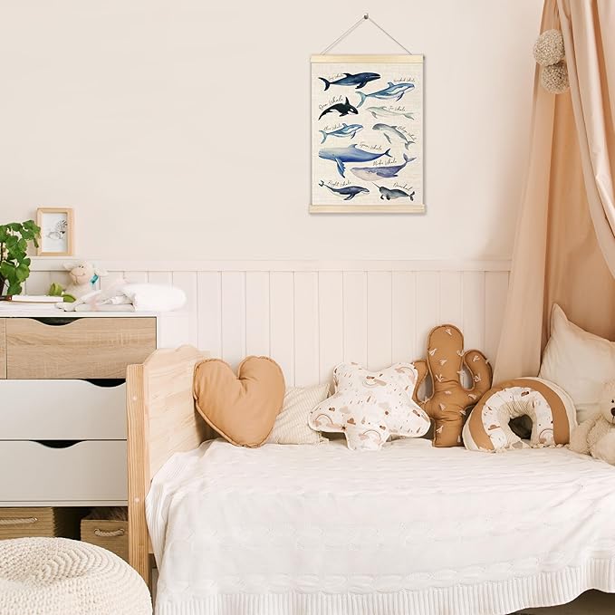 Ecezatik Species of Whales Wall Art with Wooden Poster Hanger, Whale Posters, Beach Room Decor, Ocean Room Decor, Whale Wall Art Decor for for Classroom Nursery Kids Room Playroom, 12x16 Inch