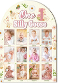 R HORSE My First Year Photo Frame Board, 3D One Silly Goose Birthday Decorations Display Wood Board, Baby First Year Picture Frame 12 Months Milestone 1st Birthday Nursery Decor Gift for Boy Girl