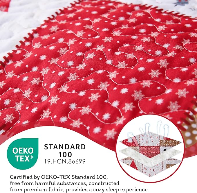 JSD Kids Christmas Quilt Set Full/Queen, Patchwork Christmas Bedding 3 Piece, Soft Microfiber Bedspread Coverlet Holiday Quilted Blanket