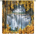 Waterfall Blackout Curtain, Autumn Season Trees Leaves Natural Landscape Window Drapes, for Bedroom Living Room 42" W X 45" L
