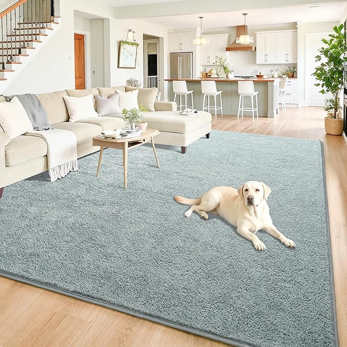 Chicrug 6x9 Minimalist Washable Area Rugs for Bedroom Living Room Classroom, Modern Soft Memory Foam Rug for Kids Nursery, Low Plie Indoor Carpet for Dorm Dining Office Bedside Room Decor, Grey