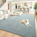 Chicrug 5x7 Minimalist Washable Area Rugs for Bedroom Living Room Classroom, Modern Soft Memory Foam Rug for Kids Nursery, Low Plie Indoor Carpet for Dorm Dining Office Bedside Room Decor, Grey